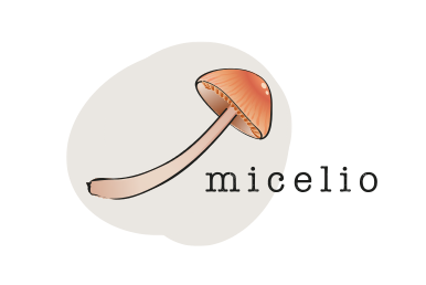 micel.io